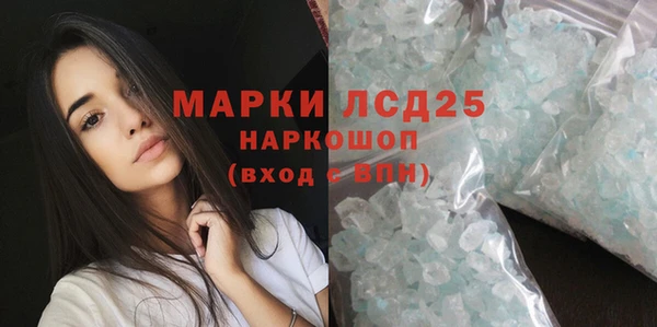 шишки Гусиноозёрск