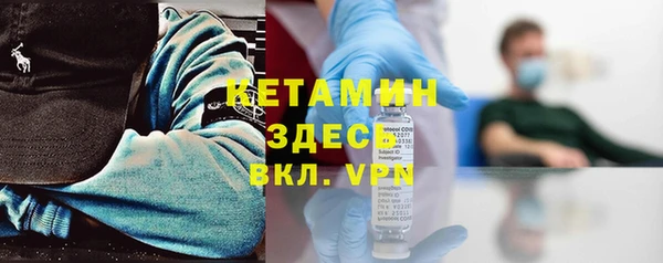 шишки Гусиноозёрск