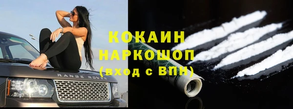 шишки Гусиноозёрск