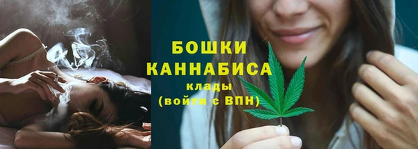 ешки Гусев