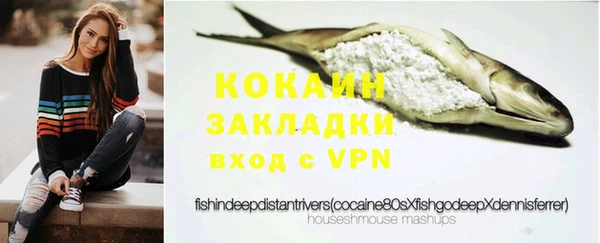 ешки Гусев