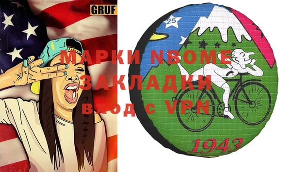 шишки Гусиноозёрск
