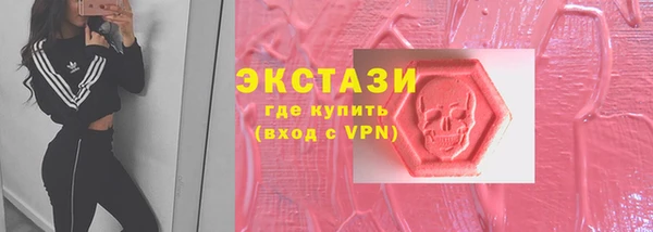 шишки Гусиноозёрск