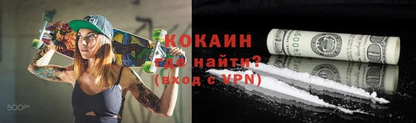 шишки Гусиноозёрск