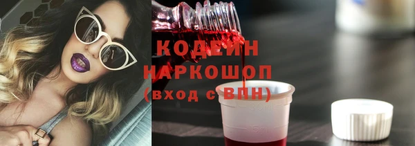 шишки Гусиноозёрск