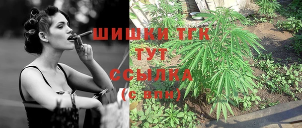 шишки Гусиноозёрск