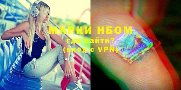 шишки Гусиноозёрск