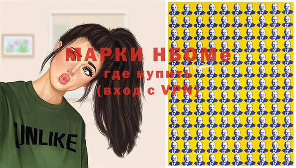 шишки Гусиноозёрск