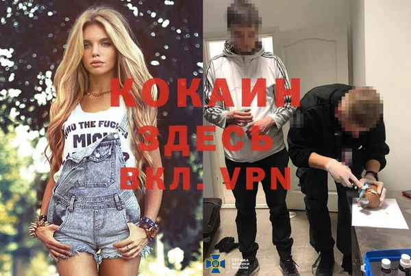 ешки Гусев