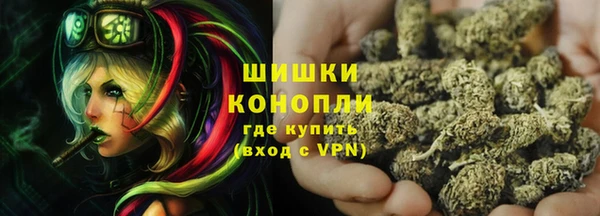 шишки Гусиноозёрск