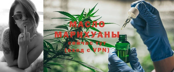 шишки Гусиноозёрск