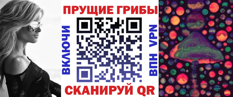 наркотики  omg ССЫЛКА  Псилоцибиновые грибы Psilocybe  Озёры 
